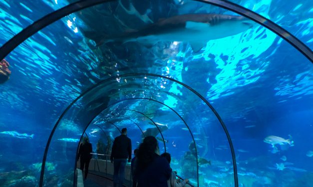Visita a l’Aquarium de Barcelona
