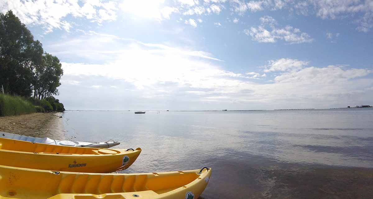 Navegar amb kayak pel Delta de l’Ebre